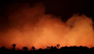 la amazonia en llamas | medio ambiente | latidos magazine nueva zelanda