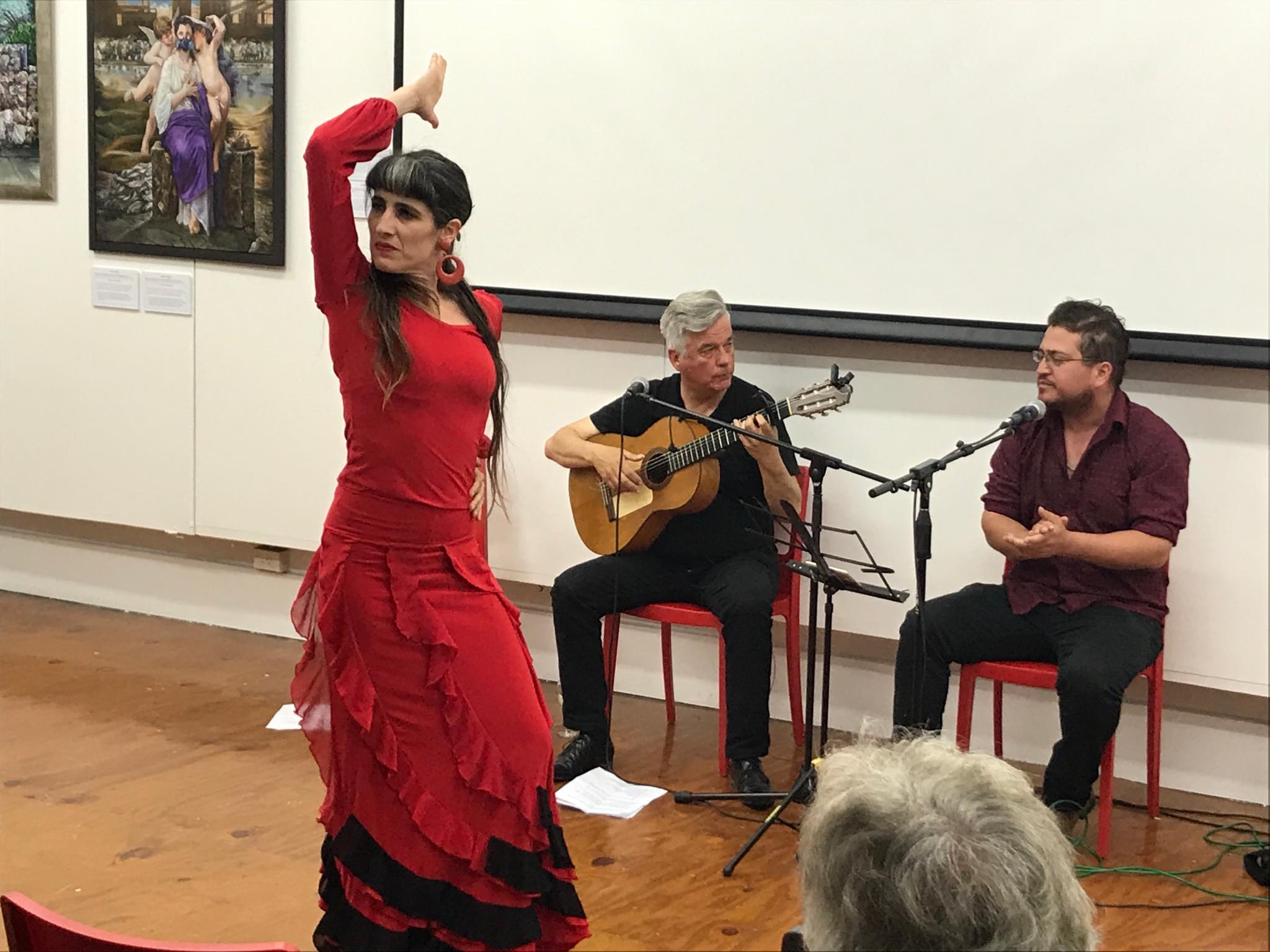 flamenco alac inc auckland nueva zelanda
