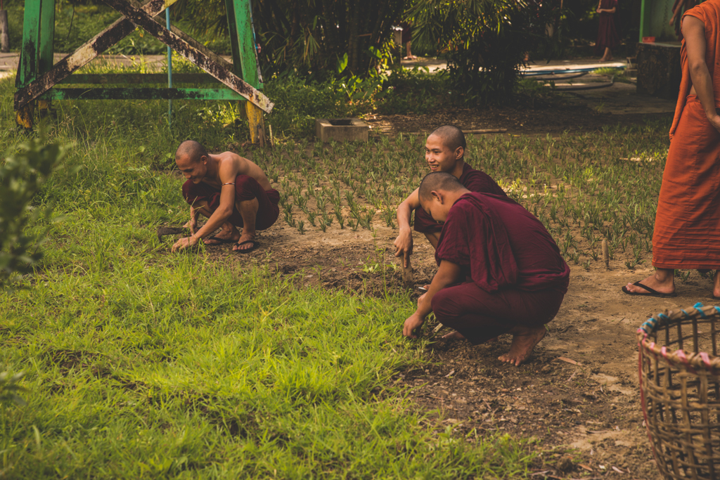 Monjes trabajando la tierra- Dala, Myanmar-2019
