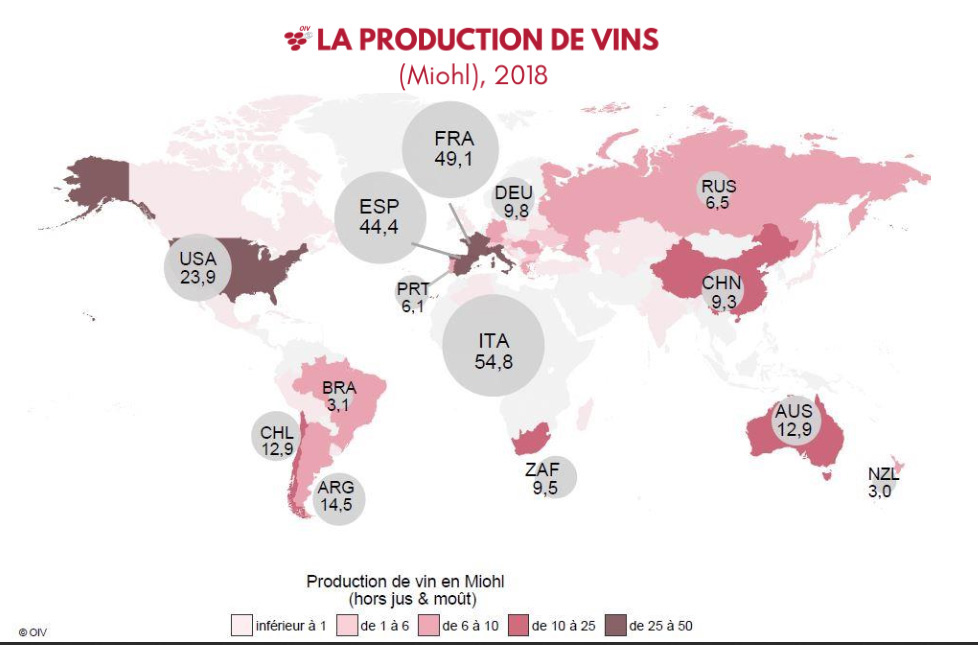 Las 5 regiones de vino más importantes